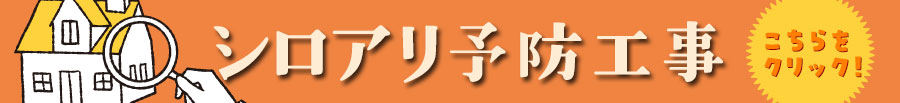 シロアリ予防について